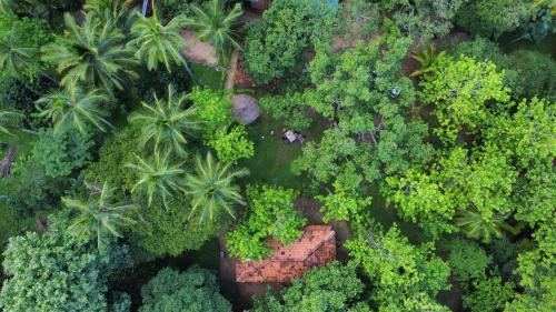Dambulla Hôtel | Eco Village Kalundewa
