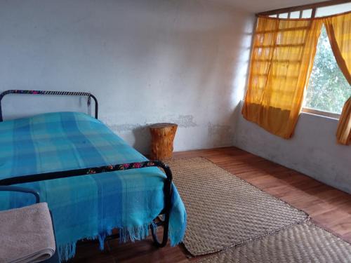 Ibarra Maison | ECOHUERTO