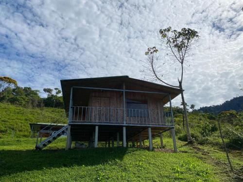 Alfombra Appartement | Econative Baru Toucan Cabin con vista al bosque de Platanillo