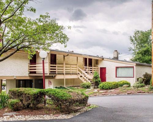 Chinchilla Cabine | Econo Lodge Clarks Summit - Scranton