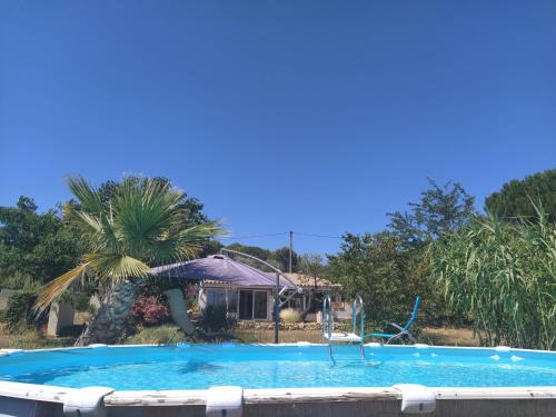 Lunel Maison | Ecoutez les oiseaux