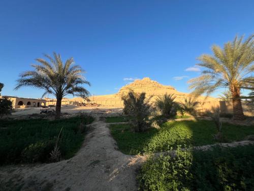 Siwa Maison | Eeri Siwa Oasis