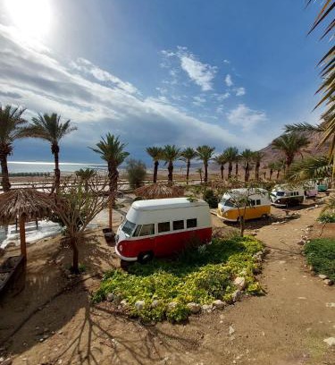 Ein Gedi Autre | Ein Gedi Camp Lodge
