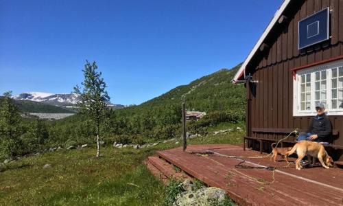 Hol Maison | Einsetlie by Norgesbooking - cabin by Hallingskarvet
