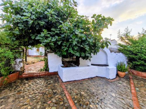Campofrio Maison | El Corral de la Higuera