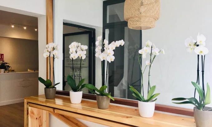 Santa Cruz de la Palma Hôtel | El Hotelito 27