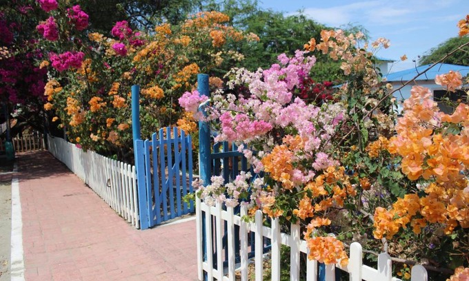 Data de Villamil Hôtel | El Jardín de Playas