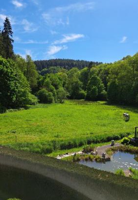 Kempenich Appartement | EL MIRADOR - Ferienwohnung Nähe Nürburgring - Eifel - Ahr - Rhein - RENOVIERT