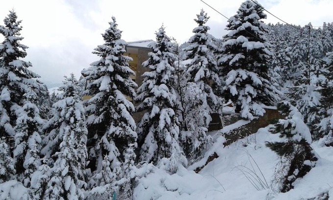 Mesaia Trikala Appartement | Elatos cozy Studio