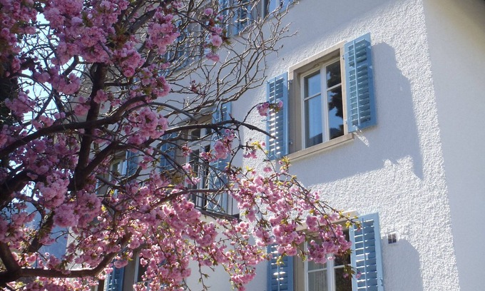 Chur Appartement | Appartement élégant et spacieux dans une villa Art Nouveau!