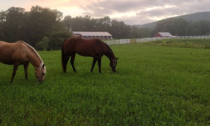 Roseboom Maison | Elegant Country Retreat on Gorgeous Horse Farm, 10 min from Cooperstown! Rm #1