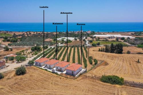 Agios Theodoros Maison | Eleonas Seaview Cottages