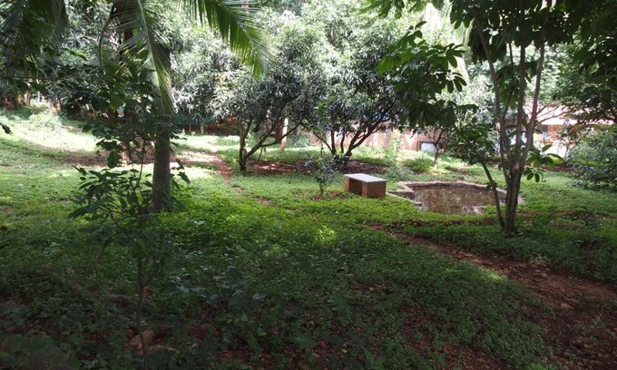 Anekal Maison | Elephant Country Homestay