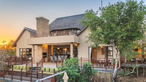 Belfast Cabine | Elephant Point