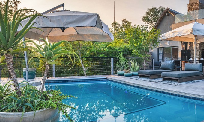 Belfast Maison | Elephant Point