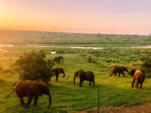 Nkomazi Hôtel | Elephant Walk Tented Camp