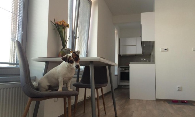 Kolin 2 Appartement | Elf