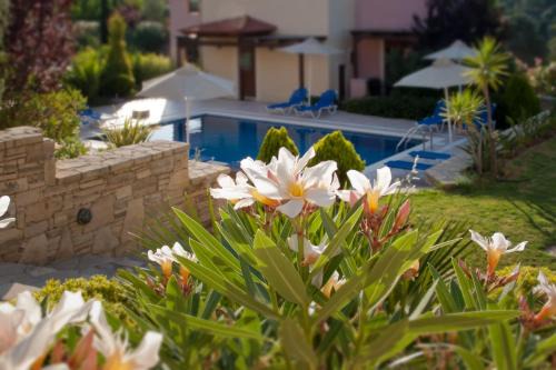 Agios Vasileios Villa | Eligia Villas
