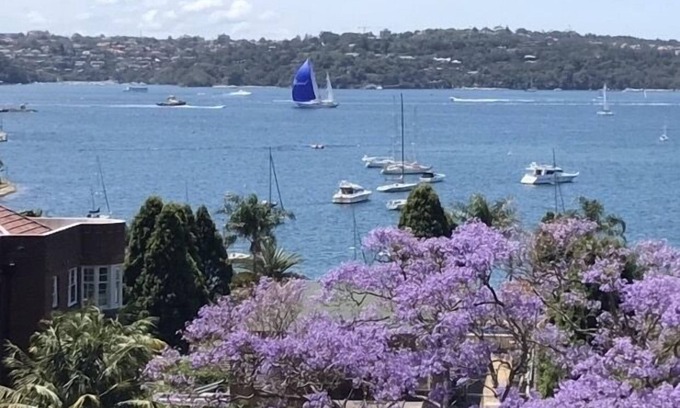 Rushcutters Bay Appartement | Elizabeth Bay, Sydney Harbour - Great Views!