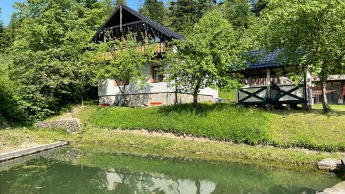 Mykulychyn Maison | Elizabeth