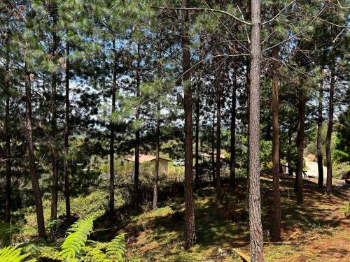 Gomez Plata Autre | eMeGé Glamping & E-Coworking