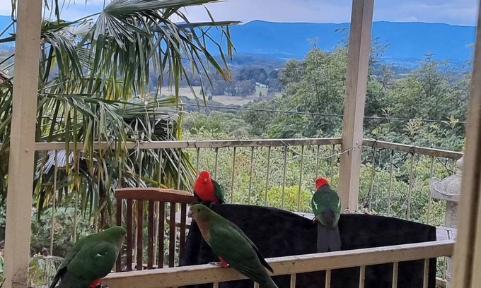 Emerald Maison | Emerald Kookaburra Hideaway