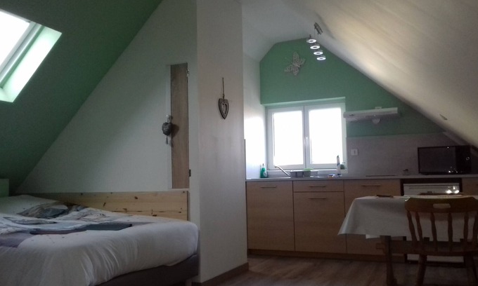 Ottmarsheim Maison | STUDIO EMMA (1/2 personnes) 40min d'Europapark, climatisé