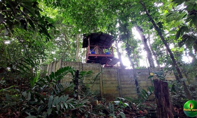 Heredia Maison | En Hostel Perla Verde, Sarapiquí te Sentirás Como en Casa en Medio del Bosque