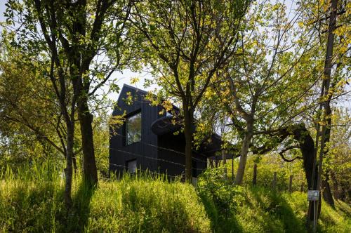 Baiculesti Chalet De Ski | Enache's 217