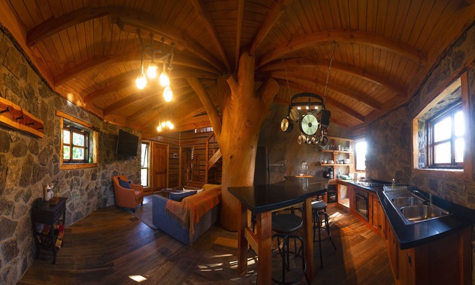 El Molle Cottage | Encantadora Casa del Árbol en el Valle del Elqui!