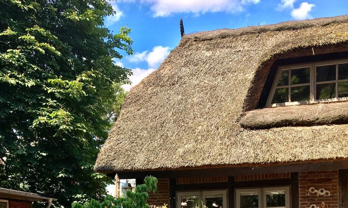Hittbergen Appartement | Domicile enchanteur sous le chaume sur la piste cyclable de l'Elbe