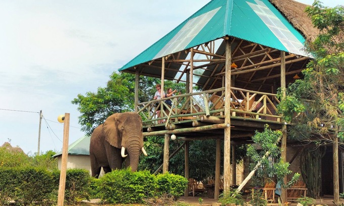 Kasese Cabine | Budget Game Lodge dans le parc national Queen Elizabeth, en Ouganda