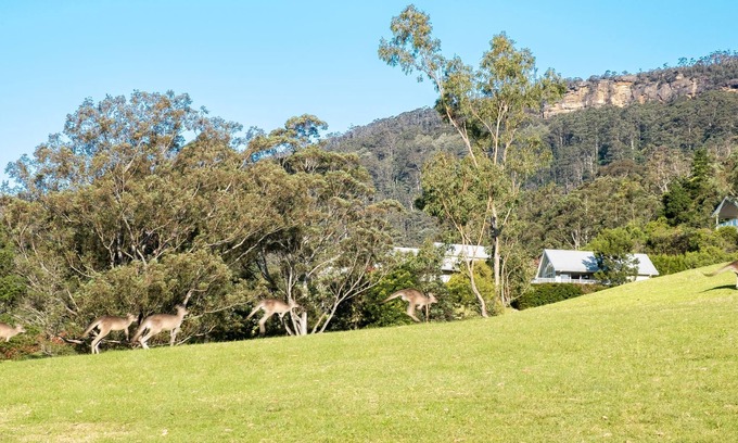 Kangaroo Valley Cabine | Enjoy outstanding views from this one bedroom cabin