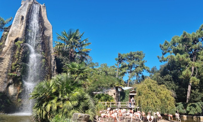 Semussac Maison | Enjoy peace and relaxation in this large holiday home with an inviting garden.