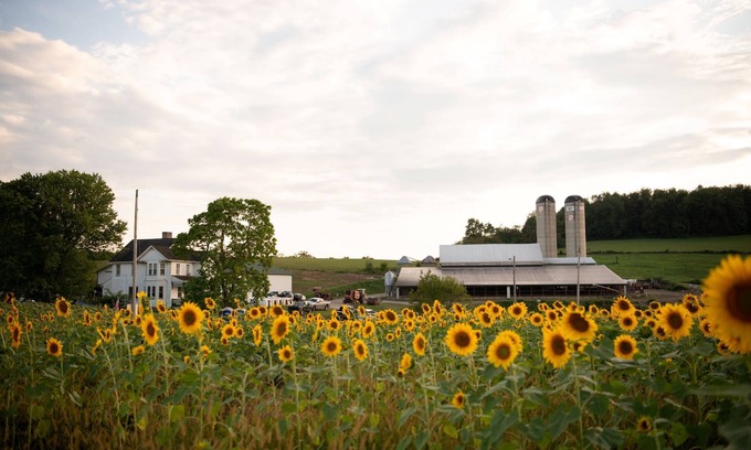 Dickerson Run Autre | Entire Farmhouse -Maple Bottom Farm Bed & Breakfast