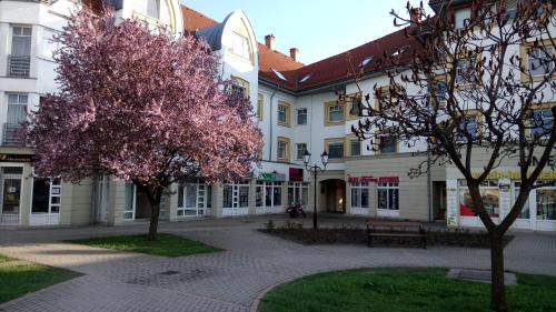 Sarospatak Appartement | Erdélyi vendégház