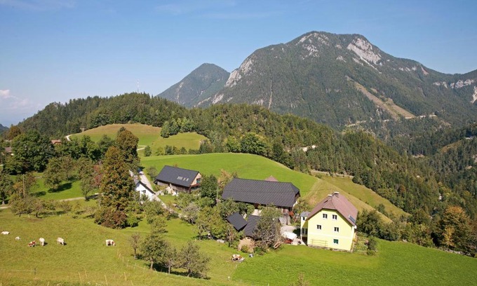 Zell Appartement | Erlebnis Bienenapartment Adamk