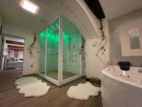 Bad Zurzach Appartement | Escape Private SPA II