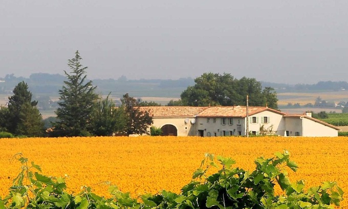 Leoville Maison | ** La piscine est chaude et le jardin Chai est entouré de tournesols - Magic **