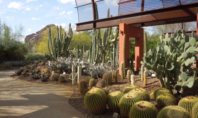 South Scottsdale Station Balnéaire | Escape to the Great Outdoors! 2 Serene Units, Minutes to Golf, Camelback Mtn.