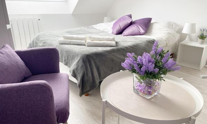 Mulhouse Appartement | Esprit Violet - Joli Studio Salengro - Sauna & Sport club