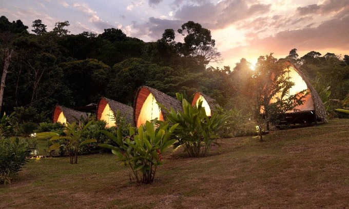 Naranjito Autre | Esquipulas Rainforest