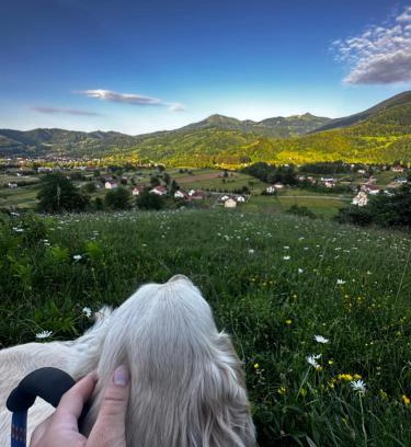 Mojkovac Maison | Etno Village "Pile"