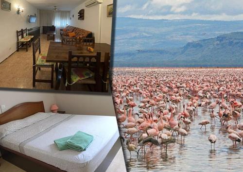 L'Eucaliptus Appartement | Eucaliptus, Bonito piso a pocos pasos de la playa Delta de l'Ebre