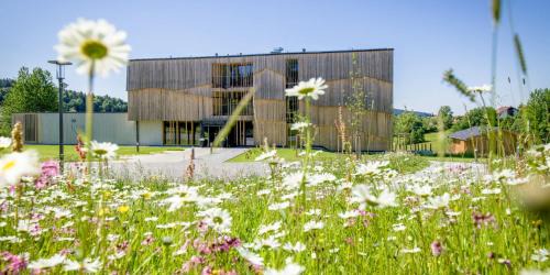 Neuschoenau Hôtel | Euler Neuschönau - Naturhotel & Chalets