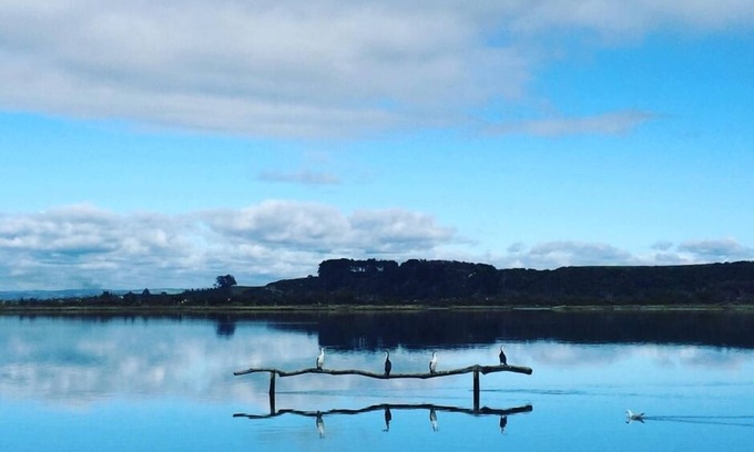 Pukehina Copropriété | EUNOIA surplombant l'estuaire - Pukehina Beach