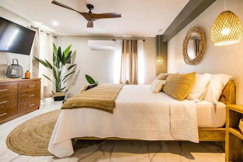 De Bruynewijk Appartement | Eva Oceanfront Spa Resort Rooftop &pool By Lucha