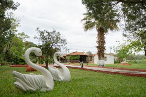 Alexandroupoli Maison | Evdokia's House