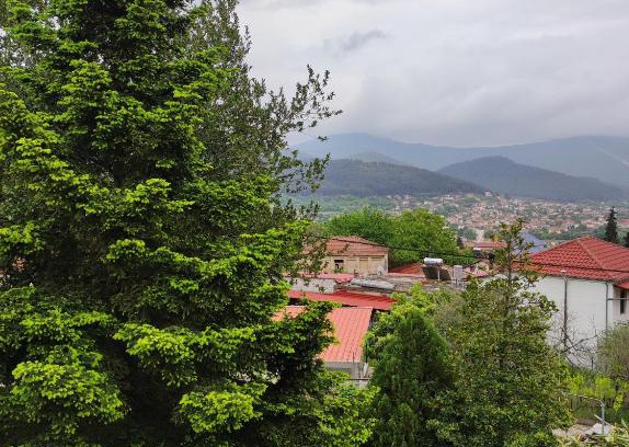 Kavala Maison | EverGreen