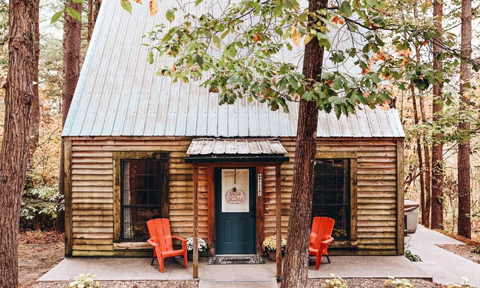 Carbon Hill Cabine | Evergreen Hideaway est une cabane nichée sous de grands pins.